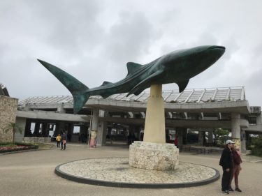 沖縄 美ら海水族館に行った！ホテル、飛行機、ウミカジテラス？